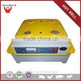 High Quality Factory Price Chicken Egg Incubator thumbnail-1