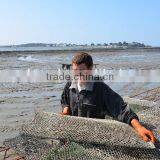 Aquaculture /oyster Growing Bag/ Cage thumbnail-6