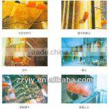 Widely Used in Industries , Air Cannon ,compressed Air Confetti Cannon thumbnail-1