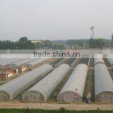 New Style Single Span Tunnel Greenhouse for Sale thumbnail-2