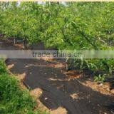 Heavy Duty Weed Bolck Landscape Fabric thumbnail-1