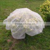 UV Treatment PP Spun-bond Nonwoven Tree Cover thumbnail-1