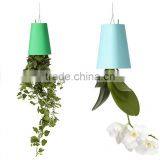 New Design Indoor Creative Sky Planter Originality Fashion Sky Planter Hanging Plastic for Plants thumbnail-1