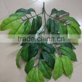 SJ070905 Artificial Longan Leaves for Longan Tree Making/artificial Tree Leave Craft thumbnail-1