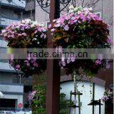 SOL Vertical Hanging Basket Hanging Ball Planter Garden Pots thumbnail-6