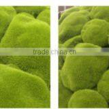 Mini Artificial Moss Stone , Different Size Plastic Moss Stone thumbnail-4