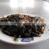 Mushroom Konbu thumbnail-3