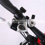250W Cheap 26 Inch Electric Mountain Bike for Sale thumbnail-5