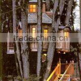 Follow Our Designer Bent From Song Tao. Fashion Ficus Leaf Tree Artificial Plants of Leaves House thumbnail-5