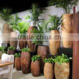 Abaca Planters thumbnail-5