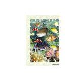 Sell 3D Notebook thumbnail-1