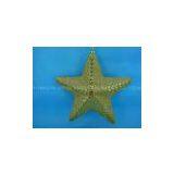 CHRISTMAS STAR HH-5288-22.8-12 thumbnail-1