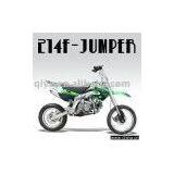 Dirt Bike (QG-214F-JUMPER) thumbnail-1