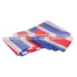 Clear Striped Cloth Tarp Material Uv Cold-Crack Resistant Clear Or Transparent Striped Cloth Tarpaulin Cover