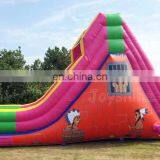 Commercial Dry Slides Pink Apache Inflatable Slide For Kids thumbnail-2