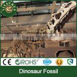 JLDF-0159 Film Prop Dinosaur Fossils for Movies