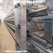 Layer Chicken Cage Equipments thumbnail-5