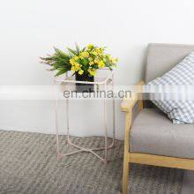 Iron Flower Pot Metal Shelf Flower Pot Display Shelf thumbnail-5