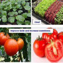 Led Grow Lights China Price Led Plant Light Manufacturer thumbnail-2