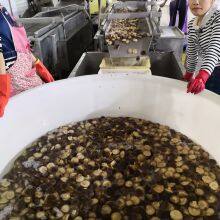 Canned PO-KU (Shiitake) Mushrooms thumbnail-4