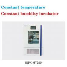 Constant Temperature and Humidity Incubator thumbnail-2