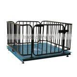New Electronical Scales for ANIMAL in Shanghai Made in China 800kg Scale Scales Range From 20kg to 200Ton thumbnail-1