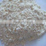 Natural Dehydrated Fruit Powders thumbnail-5