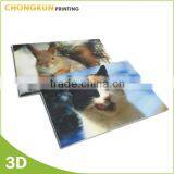 Lenticular Printing 3D Wall Pictures of Japanese Sport Star thumbnail-4
