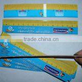 30X5cm PET or PP Stationary Promotional 3D Lenticular Ruler thumbnail-1