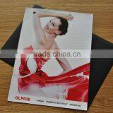 Laminated Frotlit Black Back 13oz 440gsm 500*500 9*9 GLP030 thumbnail-2