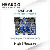 Hot selling DSP201 audio signal processing DSP Module for Active Speakers