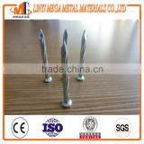 hot stainless concrete nails with high quality