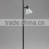 2015 Black Steel Light Indoor Floor Lamp/Lights With CE