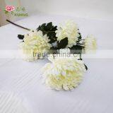 BJ016 5 Heads White Big Chinese Chrysanthemum Flower for Home Decoration thumbnail-1
