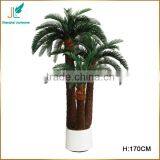 Customized Evergreen Artificial Cycas Revoluta Tree for Sale in Stock thumbnail-6