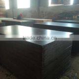 1220*2440mm Film Faced Plywood For Construction thumbnail-3