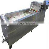 Vegetable Bubble Washer Machine, CHINA FD, Stainless Steel Fruit Bubble Washer Machine thumbnail-1