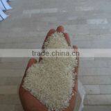RICE FOR ZANZIBAR TANZANIA thumbnail-1