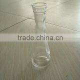 Transparent Glass Vases