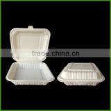 Free Sample Compartment Disposable Food Tray