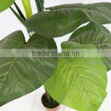 Indoor Fake Decorative Artificial Taro Plant Tree for Sale thumbnail-3