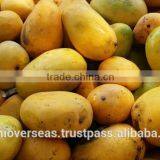 Fresh Mangoes thumbnail-6