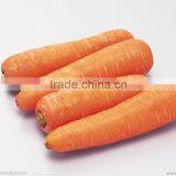 2015 Tasty Fresh Carrot From China thumbnail-2