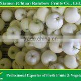 Golden Apple thumbnail-3