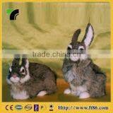 New Products Miniature Animals Gardening Wholesale Taxidermy thumbnail-2
