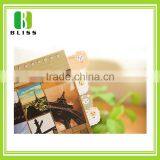 Promotional Self-adhesive Removable Die Cut Lovely Design Custom Writing Cat Shaped Sticky Notes