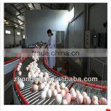 Automatic Layer Poultry Cage With Egg Collecting Machine thumbnail-6