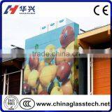 Construction Decorative Customized Pattern Design Tempered Painting Glass