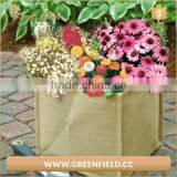 Eco Friendly Custom Jute Grow Bag Square Jute Grow Bag thumbnail-4