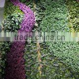2017 Fancy Design Fake Green Plant Wall for Wall Ornament thumbnail-5
